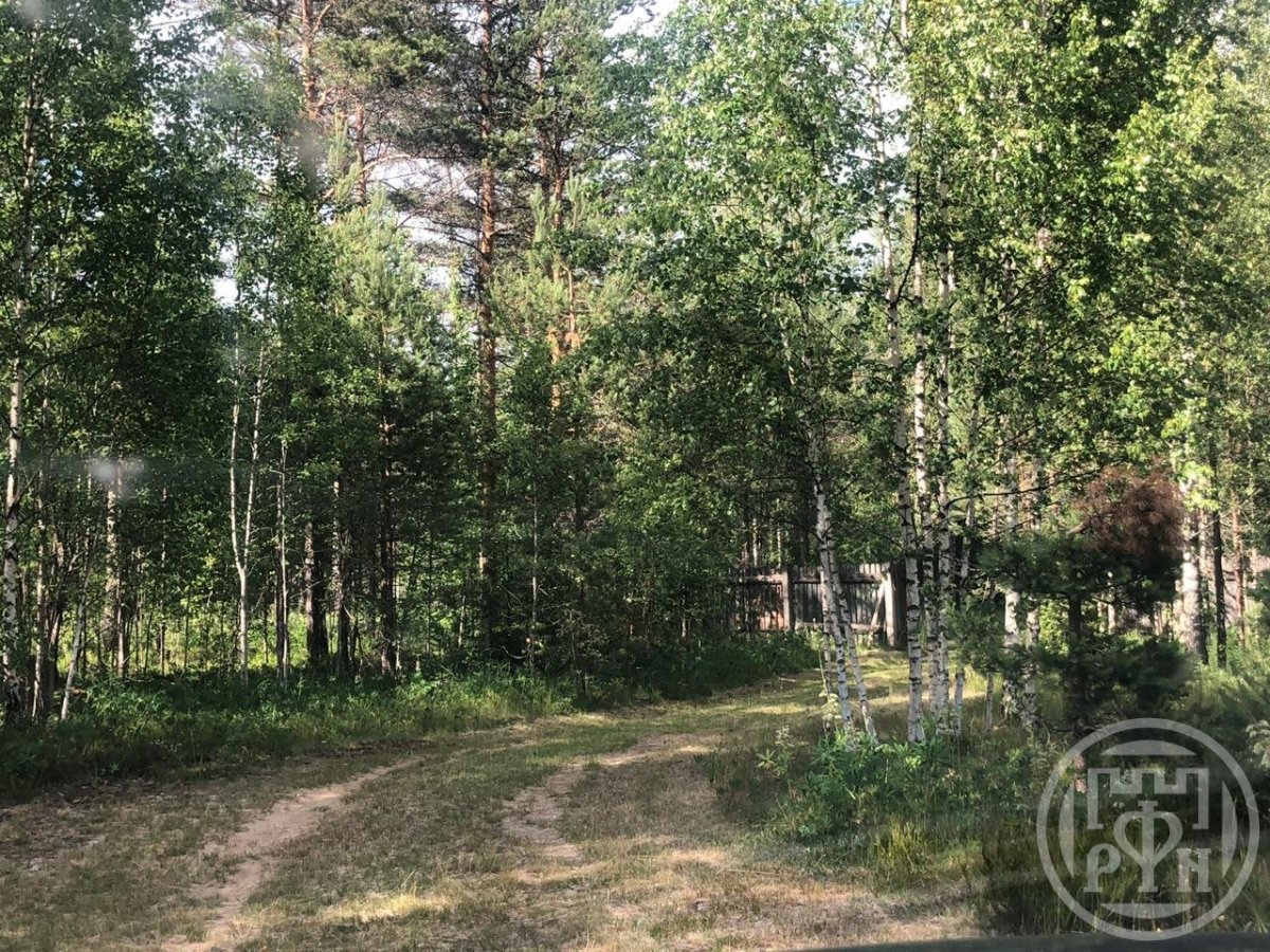 Продажа участка, Рощино, Песочная ул. Продажа участка, Рощино, Песочная ул.