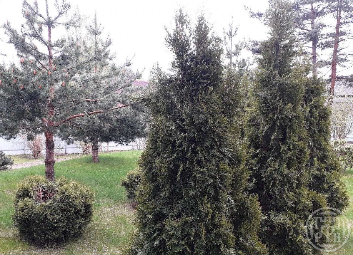 Продажа дома, 275м <sup>2</sup>, 22 сот., Токсово, Токсово пос. Продажа дома, 275м <sup>2</sup>, 22 сот., Токсово, Токсово пос.