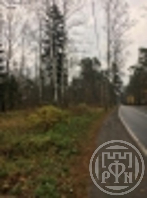 Продажа участка, Сестрорецк, Приморское шос., д 208 Продажа участка, Сестрорецк, Приморское шос., д 208
