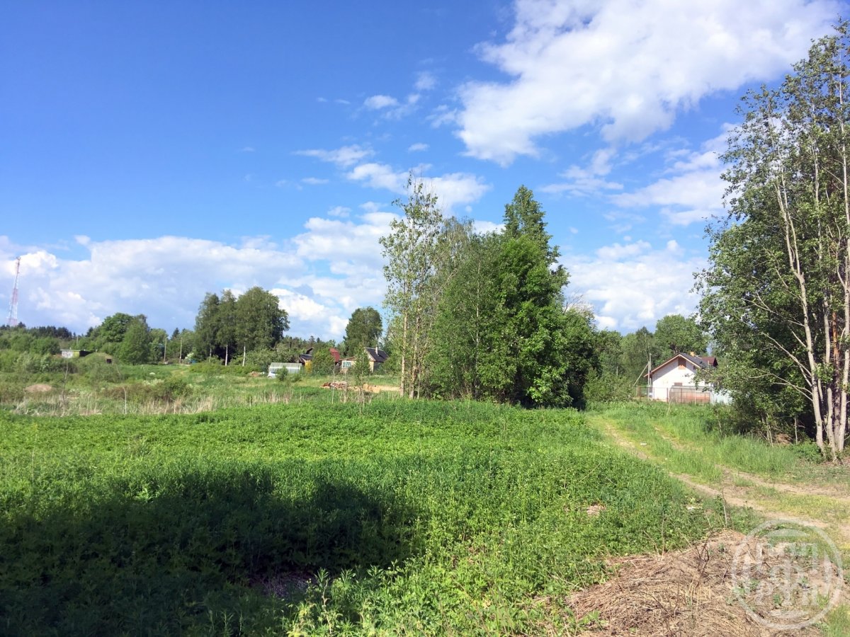 Продажа участка, Ольшаники, Ольшаники пос. Продажа участка, Ольшаники, Ольшаники пос.