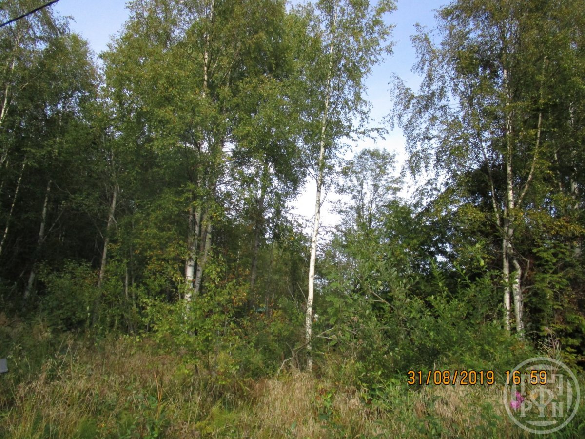 Продажа участка, Моторное, Моторное пос. Продажа участка, Моторное, Моторное пос.