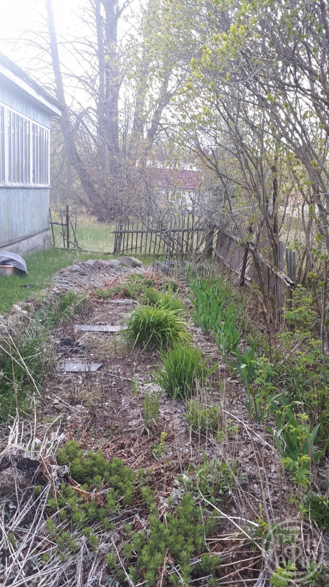 Продажа дома, 75м <sup>2</sup>, 32 сот., Старое Гарколово, Старое Гарколово дер. Продажа дома, 75м <sup>2</sup>, 32 сот., Старое Гарколово, Старое Гарколово дер.