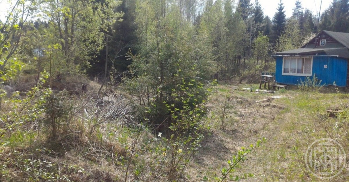 Продажа дома, 9 сот., Ленинградская, Лебедевка ст. Продажа дома, 9 сот., Ленинградская, Лебедевка ст.