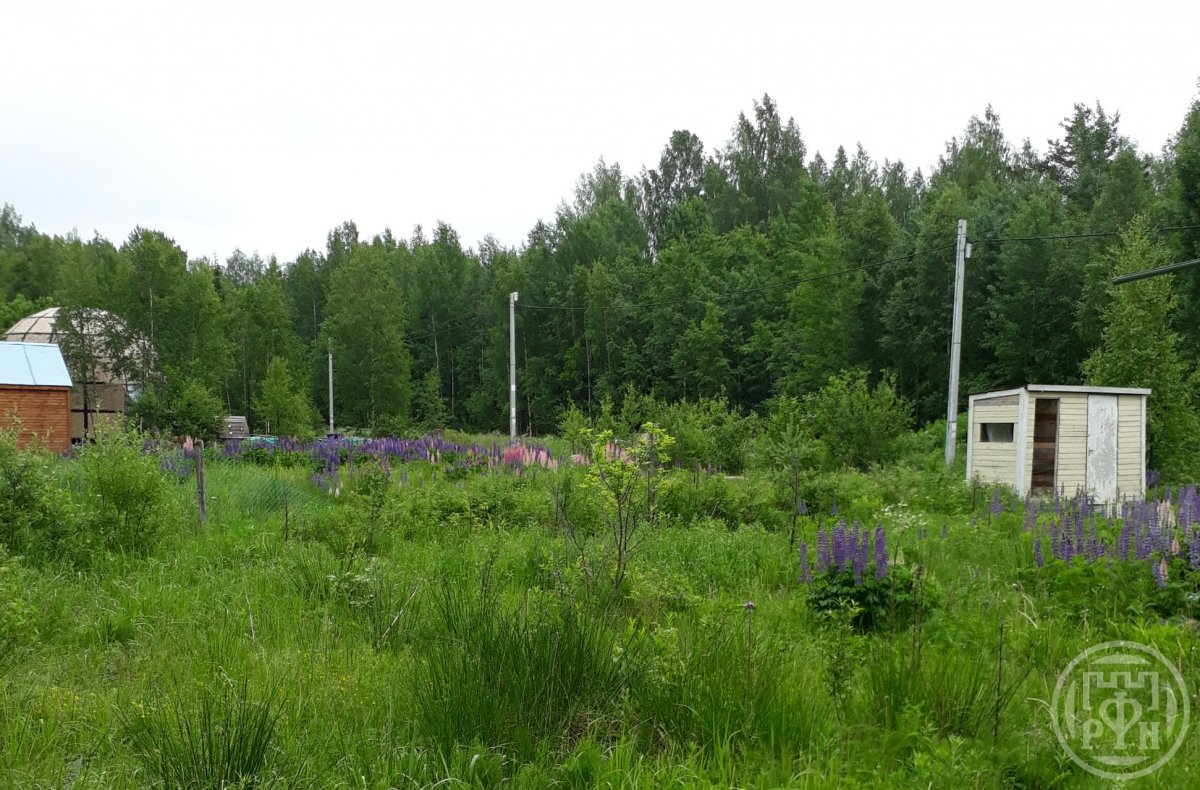 Продажа дома, 36м <sup>2</sup>, 8 сот., Ленинградская, Проба массив Продажа дома, 36м <sup>2</sup>, 8 сот., Ленинградская, Проба массив