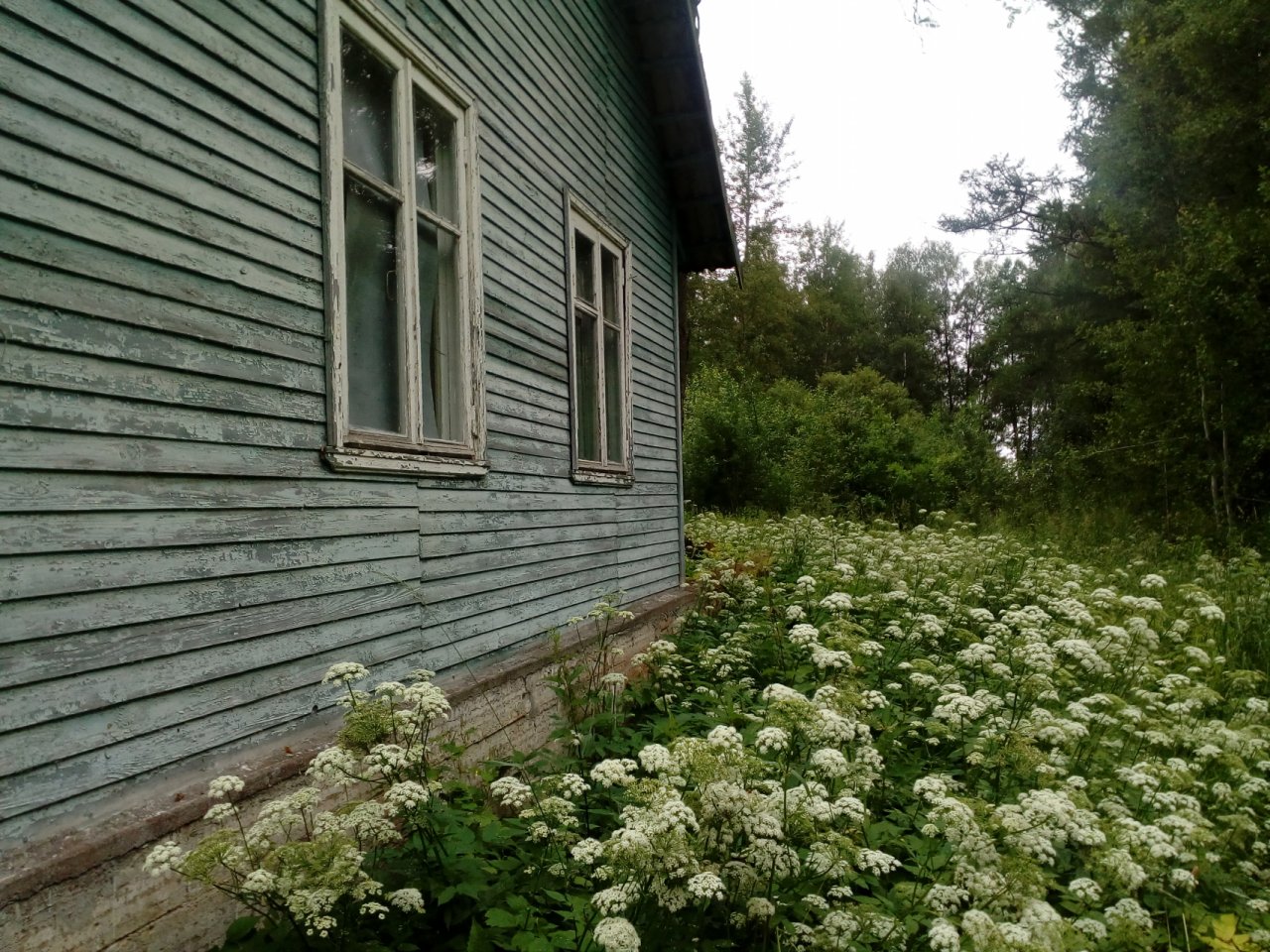 Купить Загородный дом с участком 17 сот. в Кировский район Ленинградская  область (№23667)