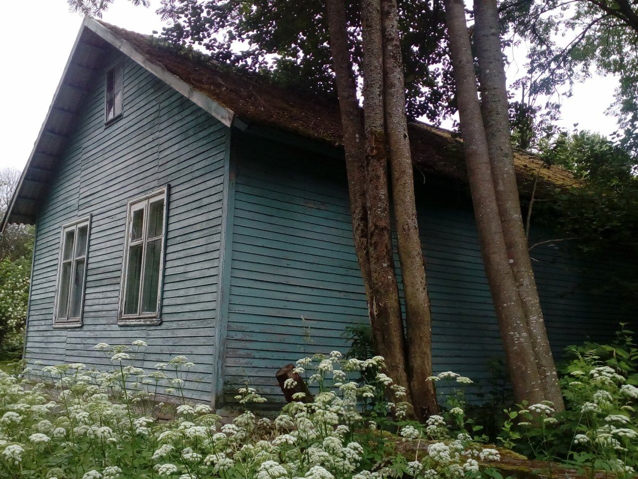 деревня нижняя шальдиха. жихарево озеро. деревня горная шальдиха. деревня горная шальдиха. деревня горная шальдиха.