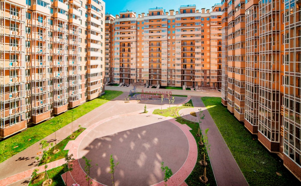 Голландская 10. Янино-1 голландская. Голландская улица Янино. Голландская 5 Янино. Янино 1 голландская 8.