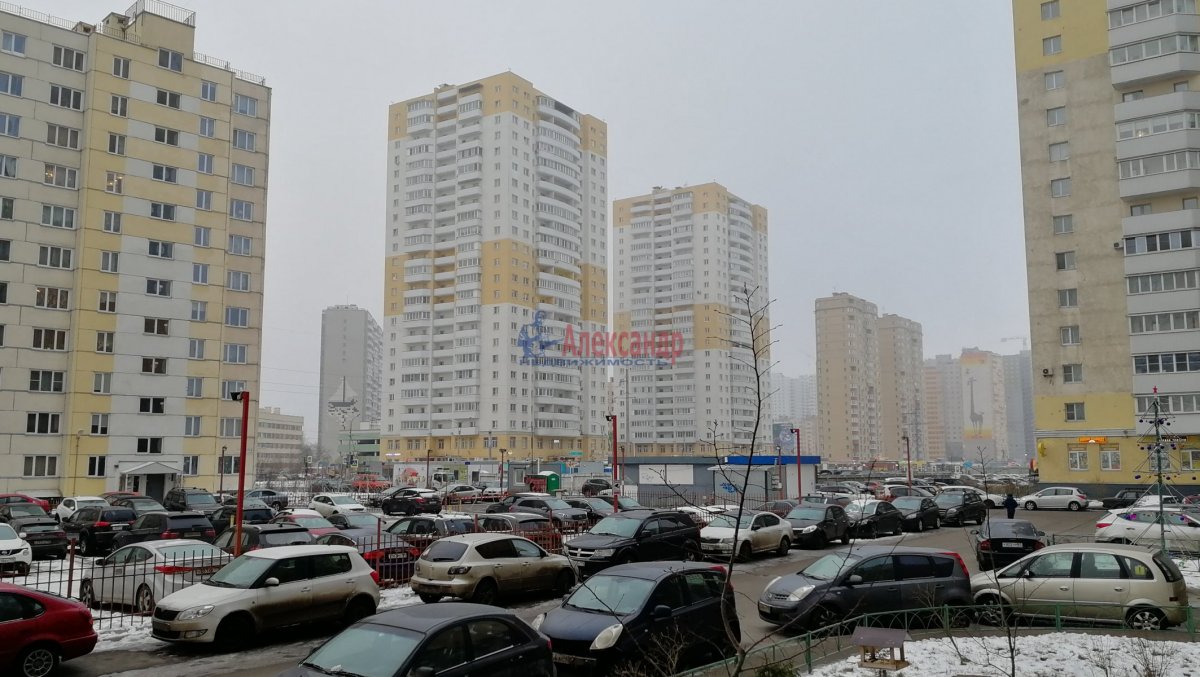4. Окуловская 7 шушары. Окуловская 7 к 1 шушары. Окуловская ул д 5 шушары. Окуловская 7 шушары.
