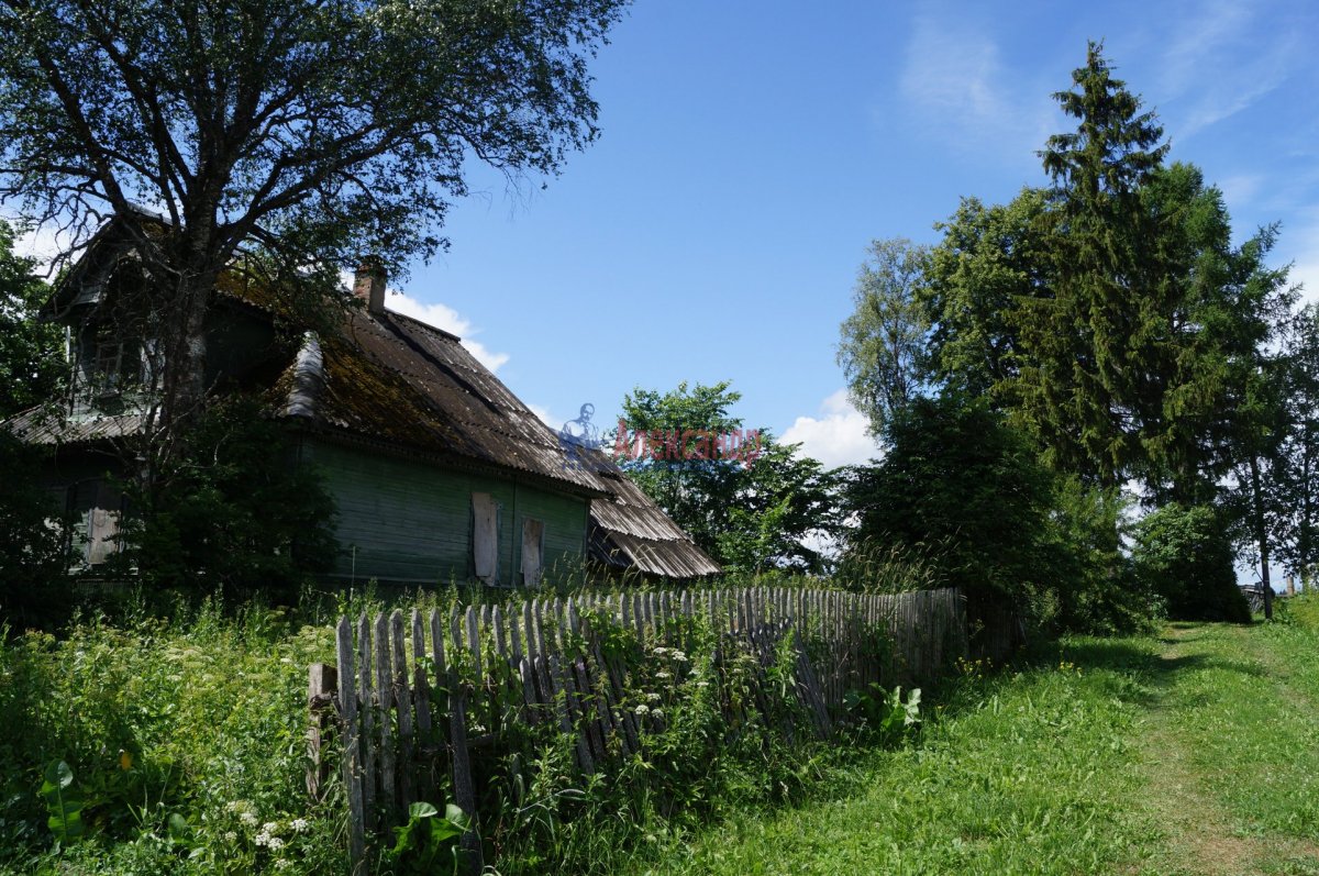 Деревня черное Волосовского района