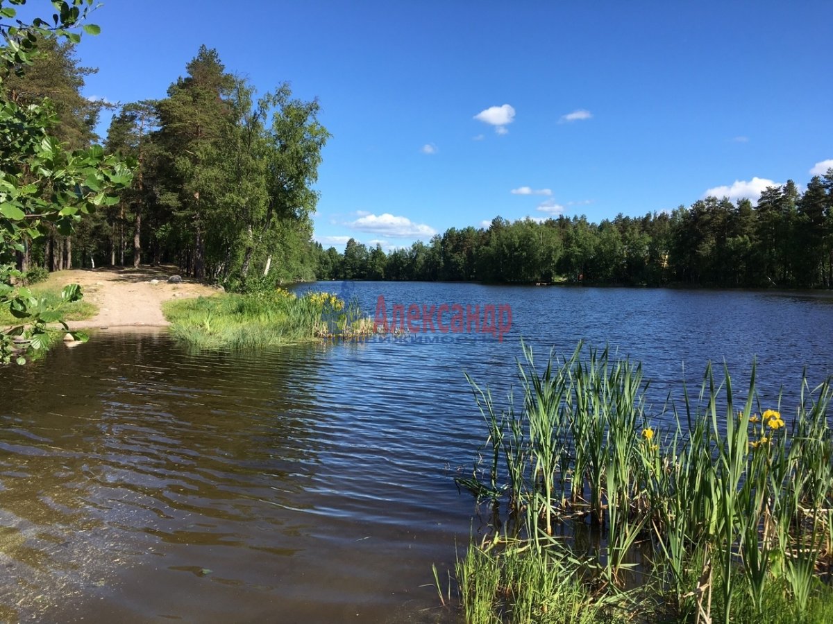 Погода приозерского. Соловьевские озера Приозерский. Соловьёвка Приозерский район. Озера в Соловьевке Приозерского района. Поселок Соловьевка.