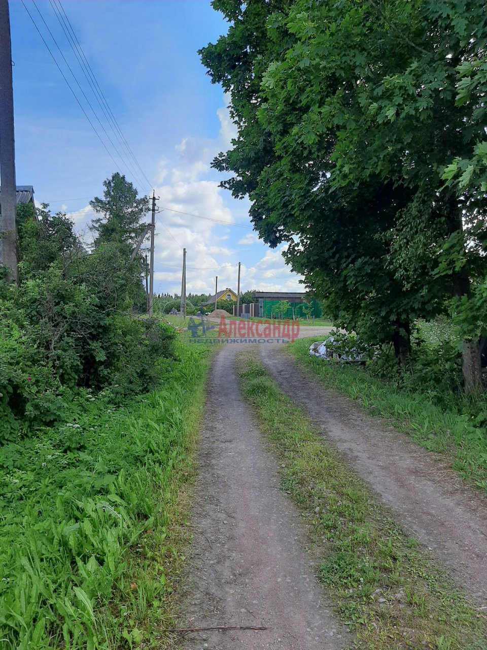 Соловьево деревня