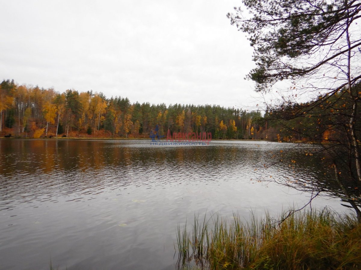 Озеро Кривко Приозерский район