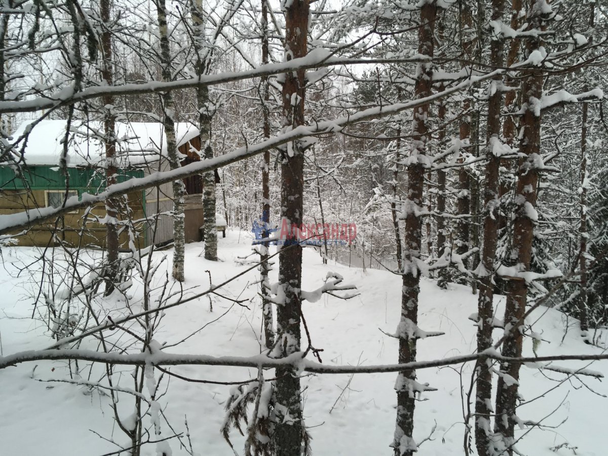 Погода волхове на неделю ленинградской области