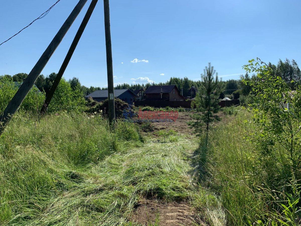 Купить Участок В Красном