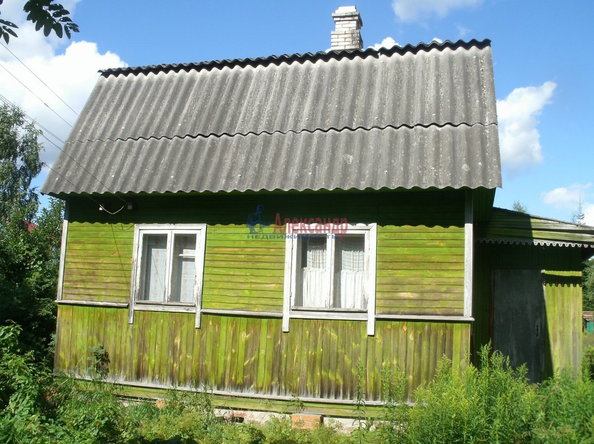 Погода в борисовой гриве ленинградской. Погода в Борисовой гриве.