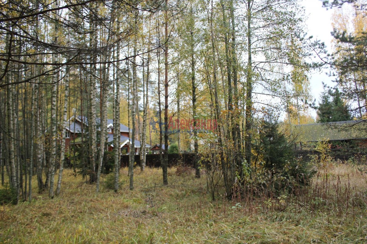 Купить Участок В Поселке Озерки