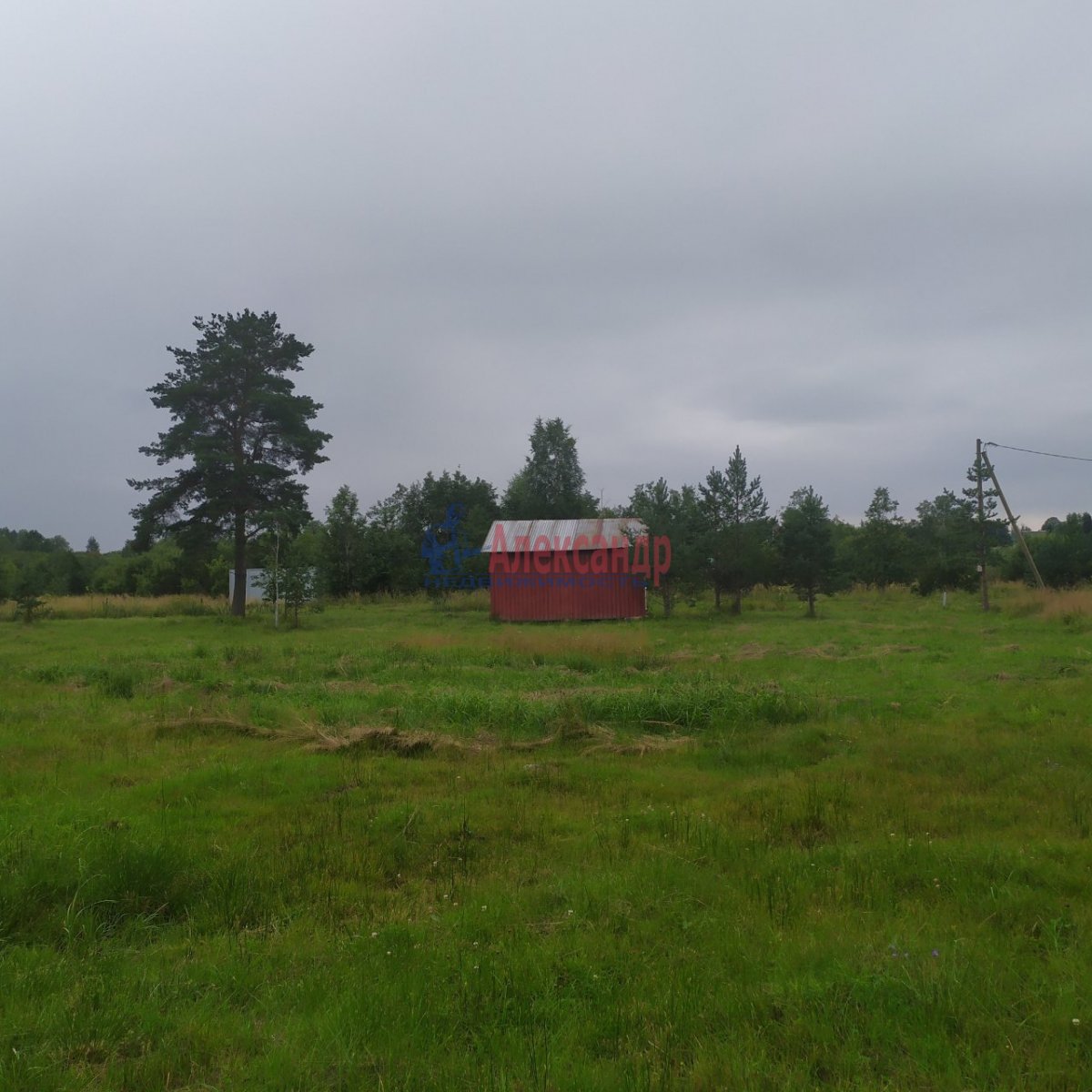 Купить Загородный дом 20 кв.м с участком 20 сот. в Приозерский район  Ленинградская область (№1485959)