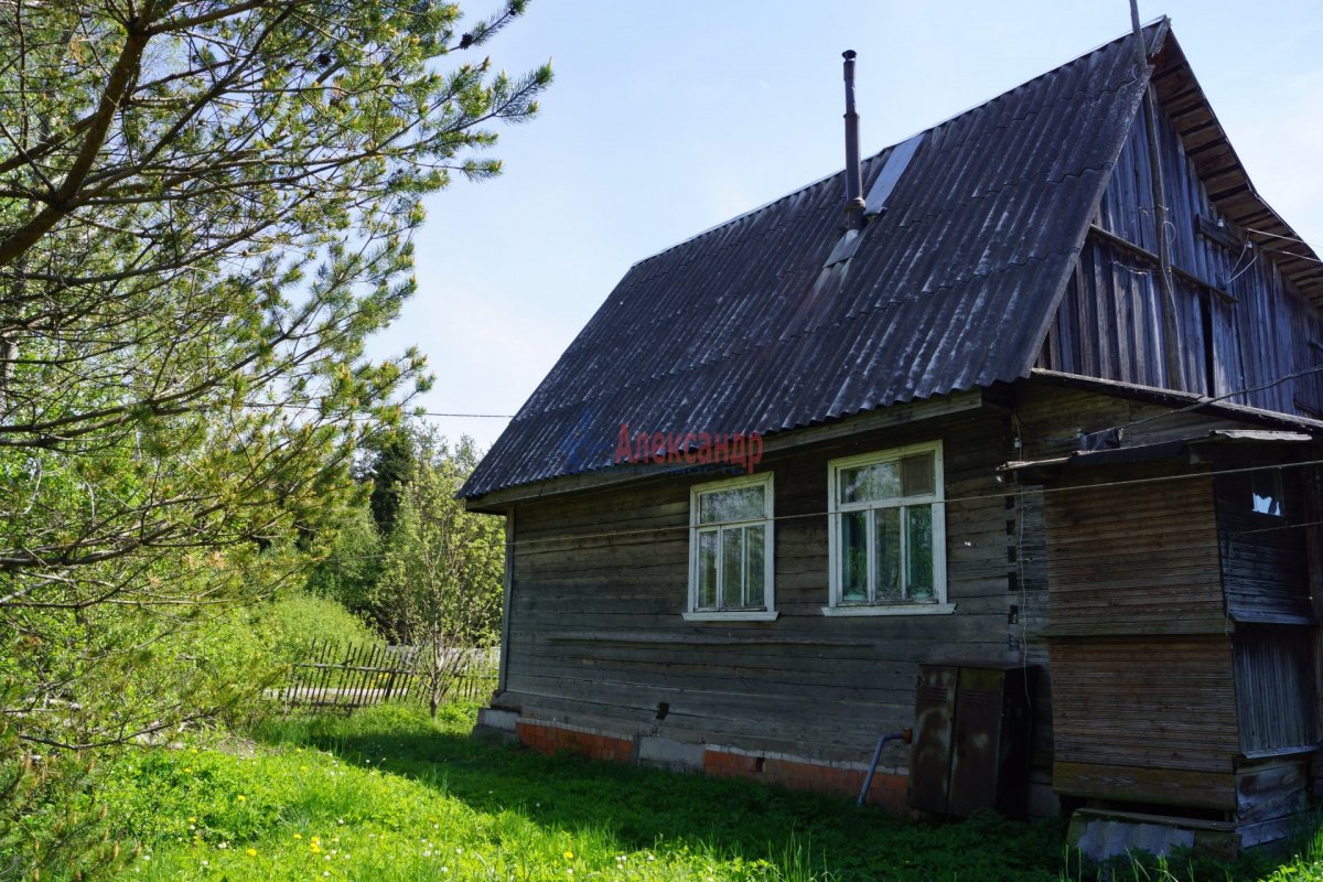 Поселок мшинская. Массив Мшинская фото.