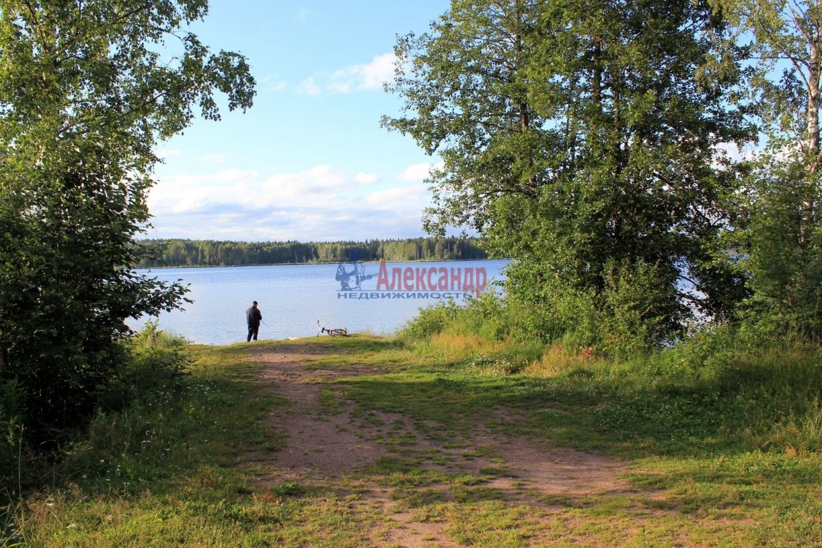 Петровское ленинградская область