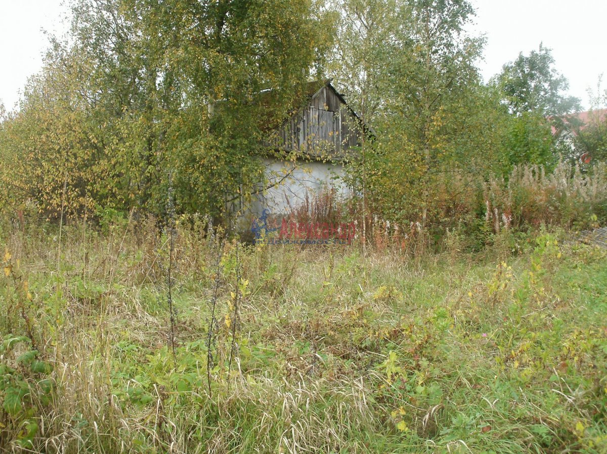 Купить Дачу В Пятницком Кингисеппский Район