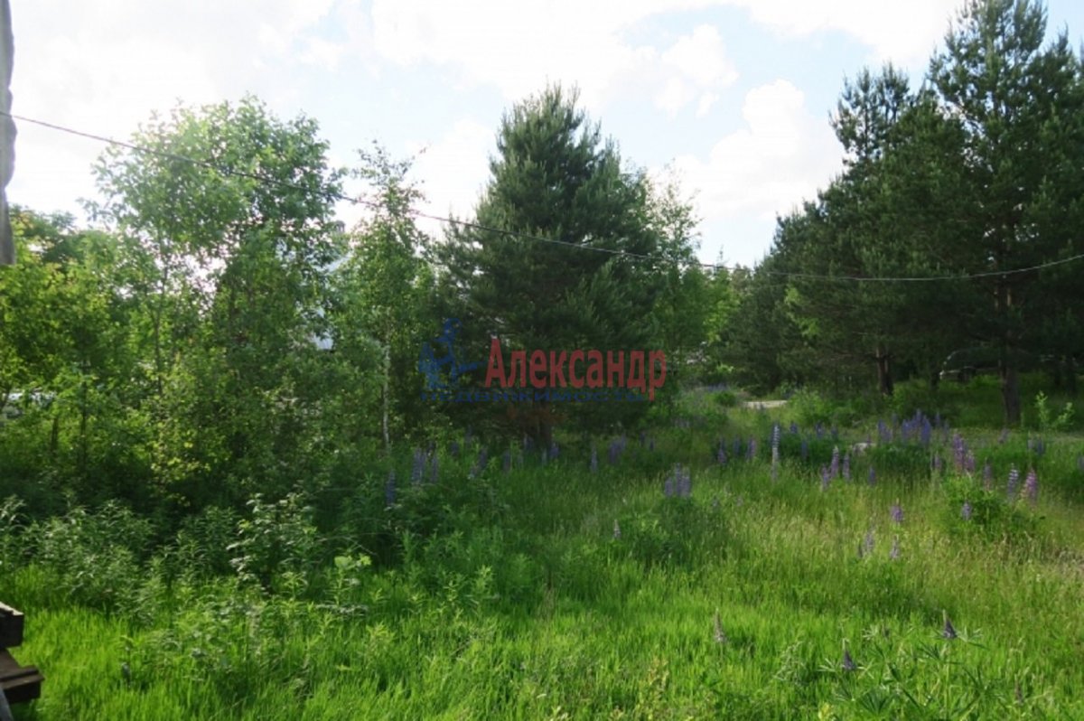 Где Купить Землю В Ленинградской Области