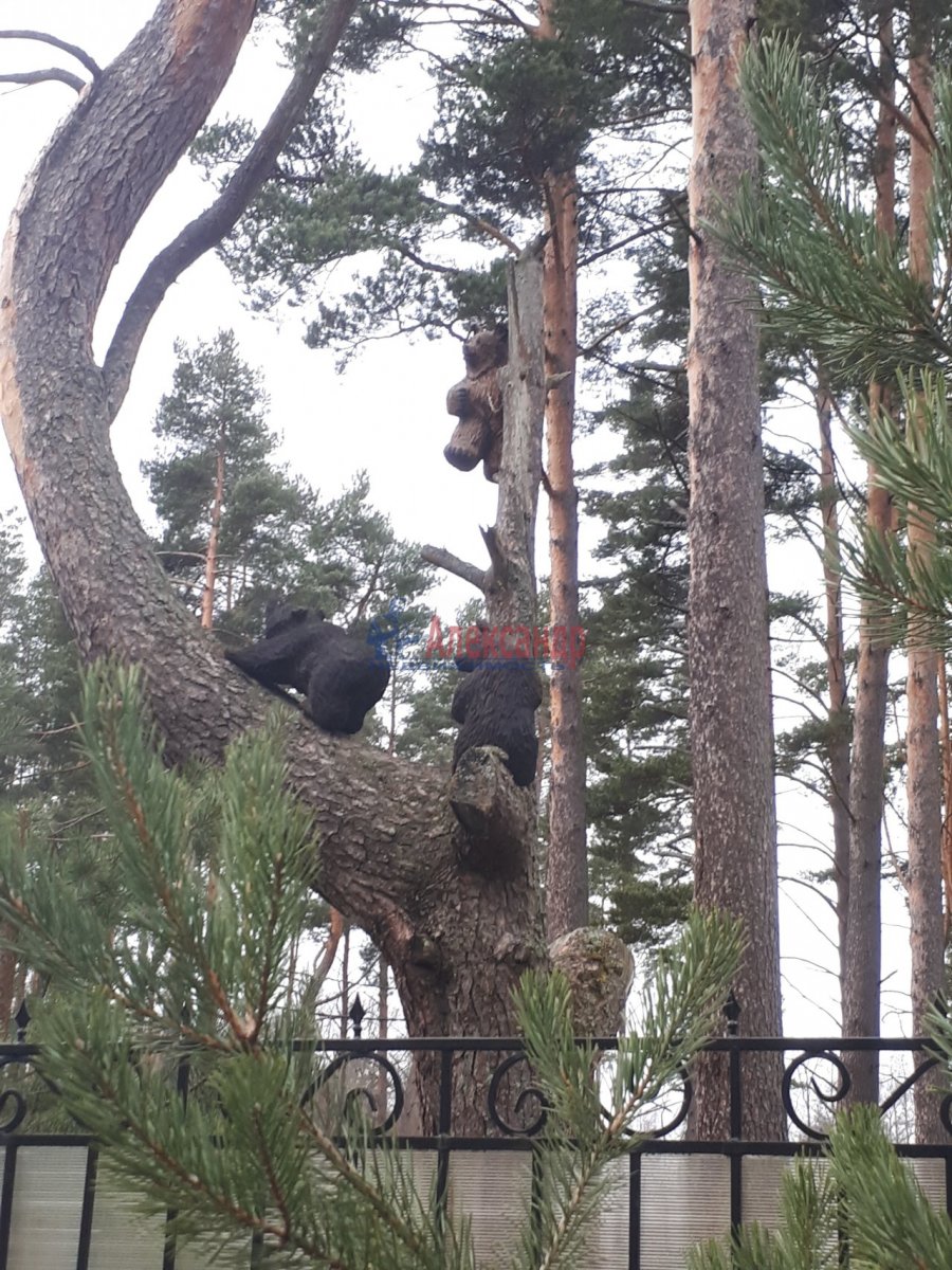 Купить Загородный дом 16 кв.м с участком 15 сот. в Приозерский район  Ленинградская область (№1441470)