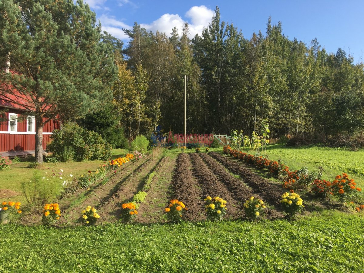 Купить Загородный дом 21 кв.м с участком 10 сот. в Лужский район  Ленинградская область (№1410868)