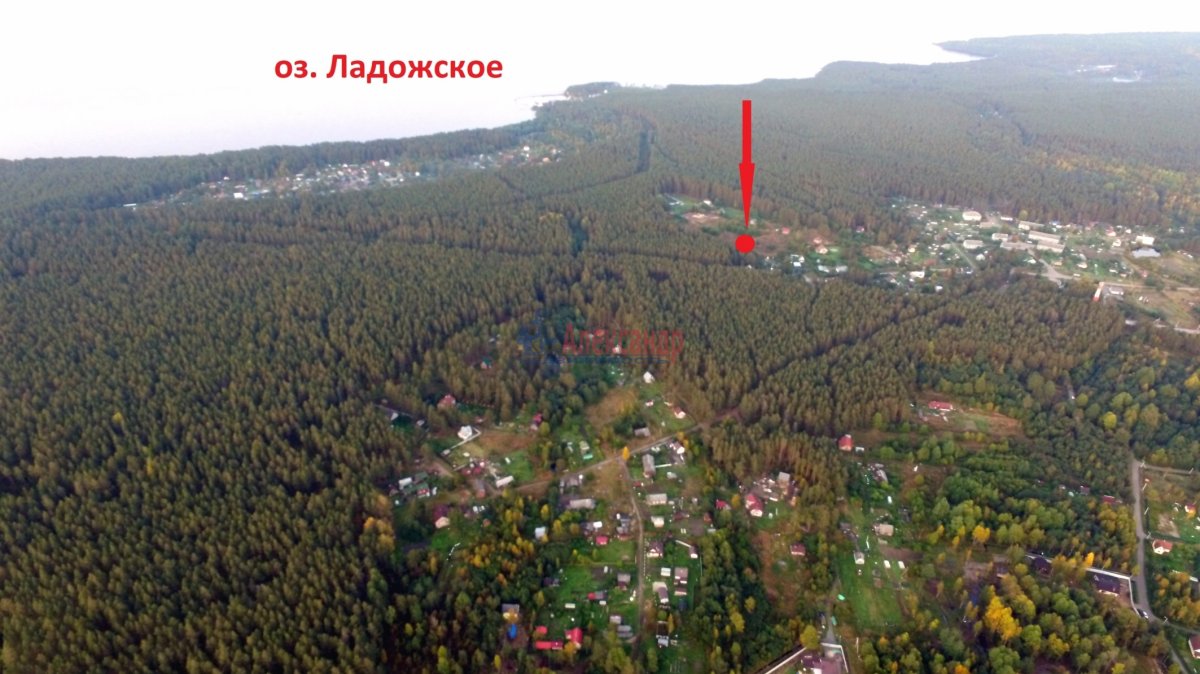 Обл. Моторное поселок. Моторное карелия. Погода в моторном приозерского ленинградской. Фото поселок моторное ленинградская область.