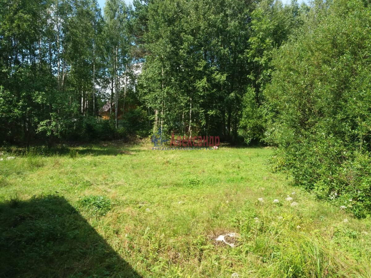 Борисова грива. Русский фонд недвижимости участок массив борисова грива. Борисово грива всеволожский. Борисова грива ленинградская. Борисова грива песочная улица 31.