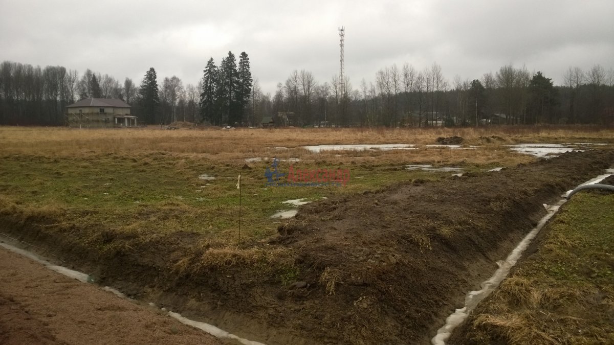 Поселок поле. Большое поле Выборгский район. Посёлок большое поле. Садоводство Авангард Выборгский район. Большое поле ЛО.