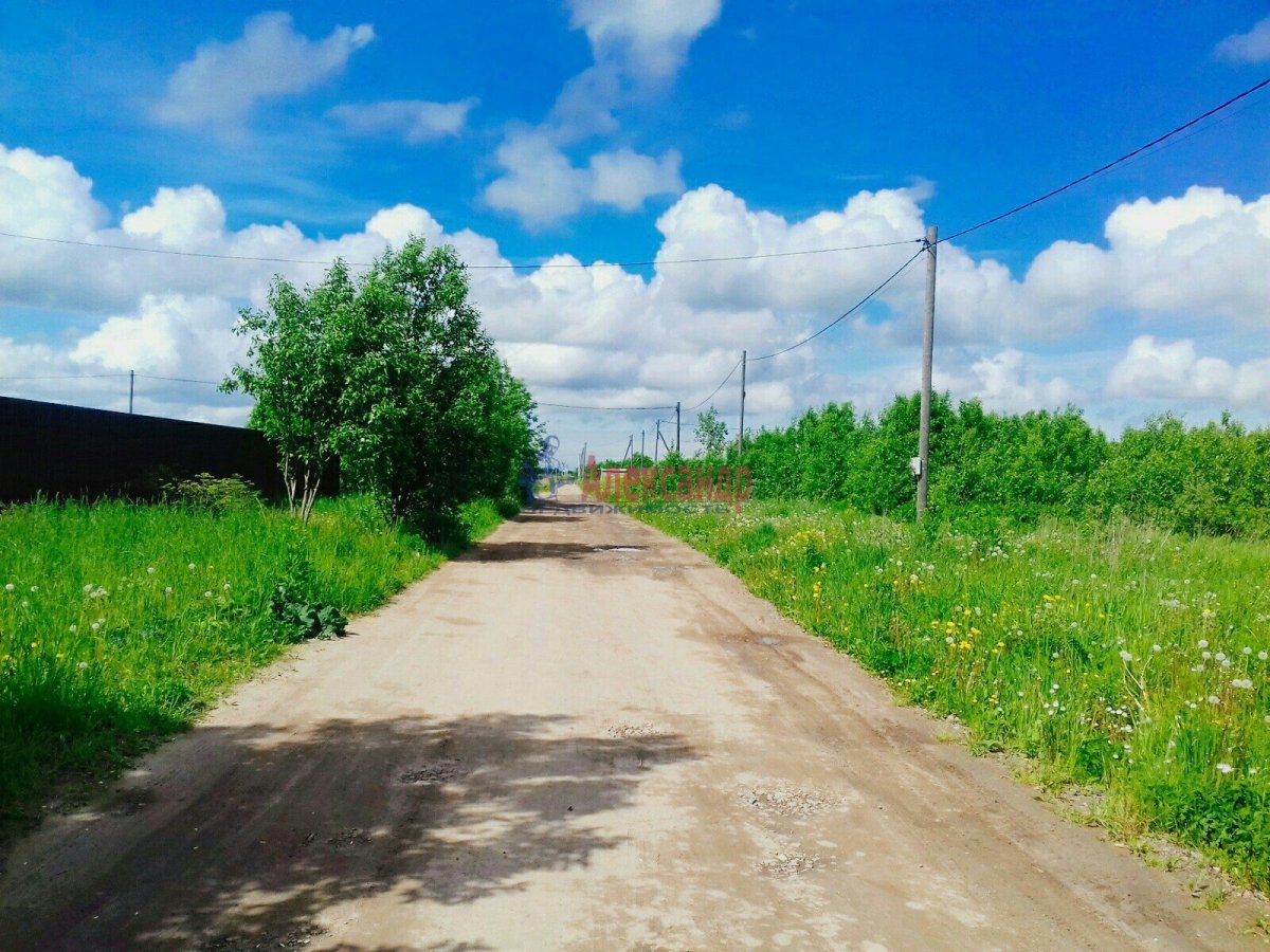 Земля спб недорого. Ропшинский горки Ломоносовский район. ДНП Янтарная Ропша. Ропша СПБ дачный посёлок. Деревня Петровское Ломоносовский район фото.