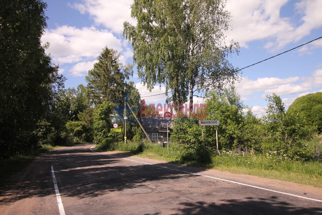 Участки в тосненском районе ленинградской. Ивановское Тосненский район. Озеро Мочалище деревня Ивановское Тосненский район. Участки в деревне Ивановское Тосненского района. Деревня Ивановское в Любани.