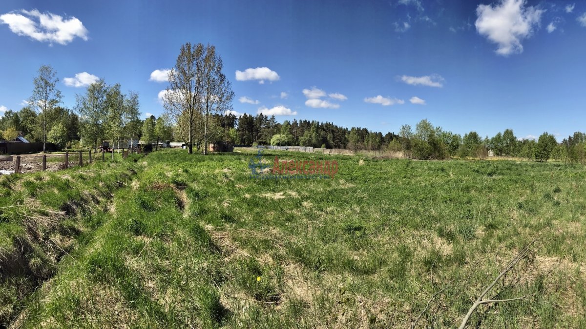 Ленинградская область поселок ромашки карта
