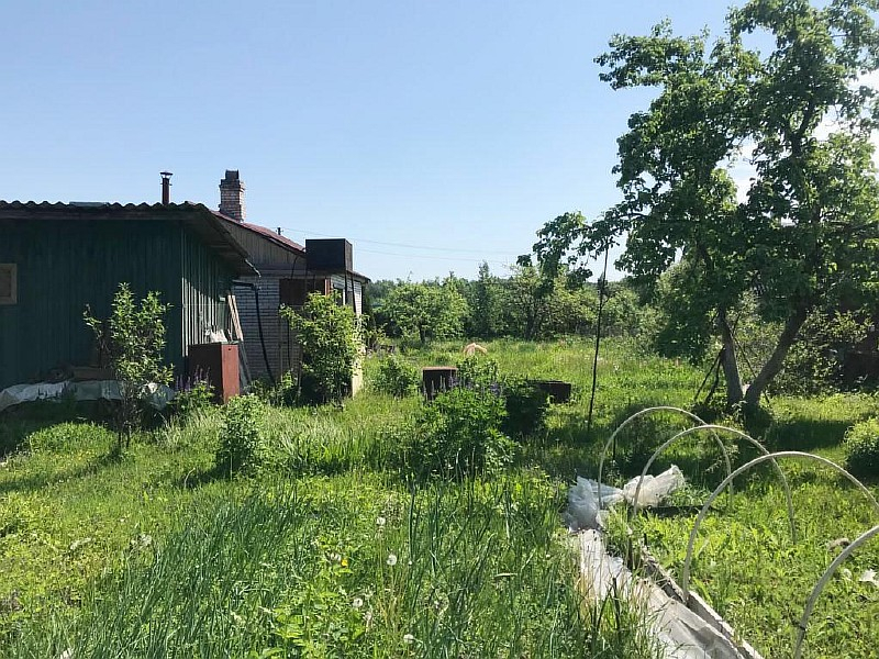 Погода строганово ленинградской. Массив Строганово СНТ волна.