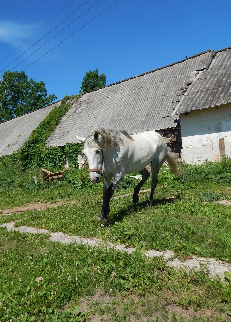 Продажа коммерческой недвижимости, 323м <sup>2</sup>, Выскатка, Выскатка дер.