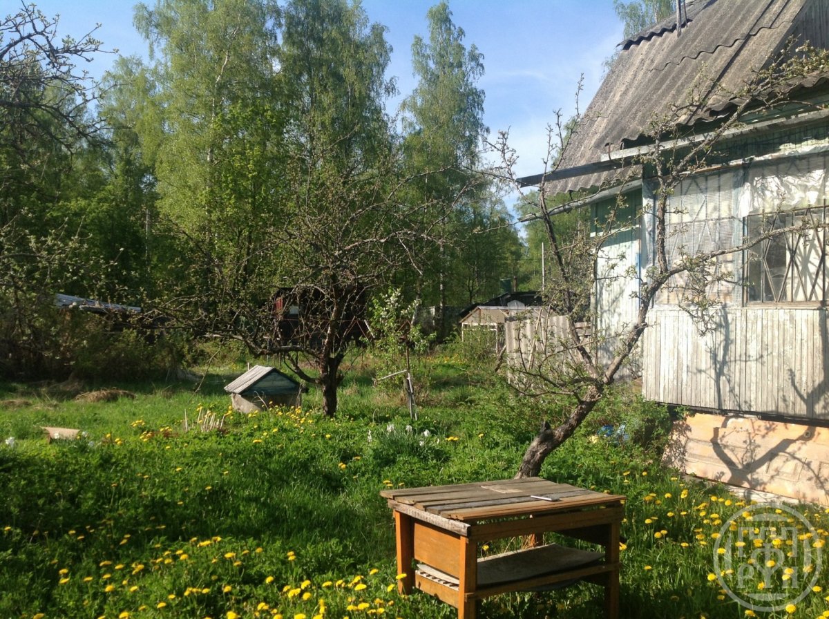 Погода в ваганово завтра. Погода в ноябрьске. Погода в ваганово завтра. Погода в вологде сейчас. Погода на завтра.