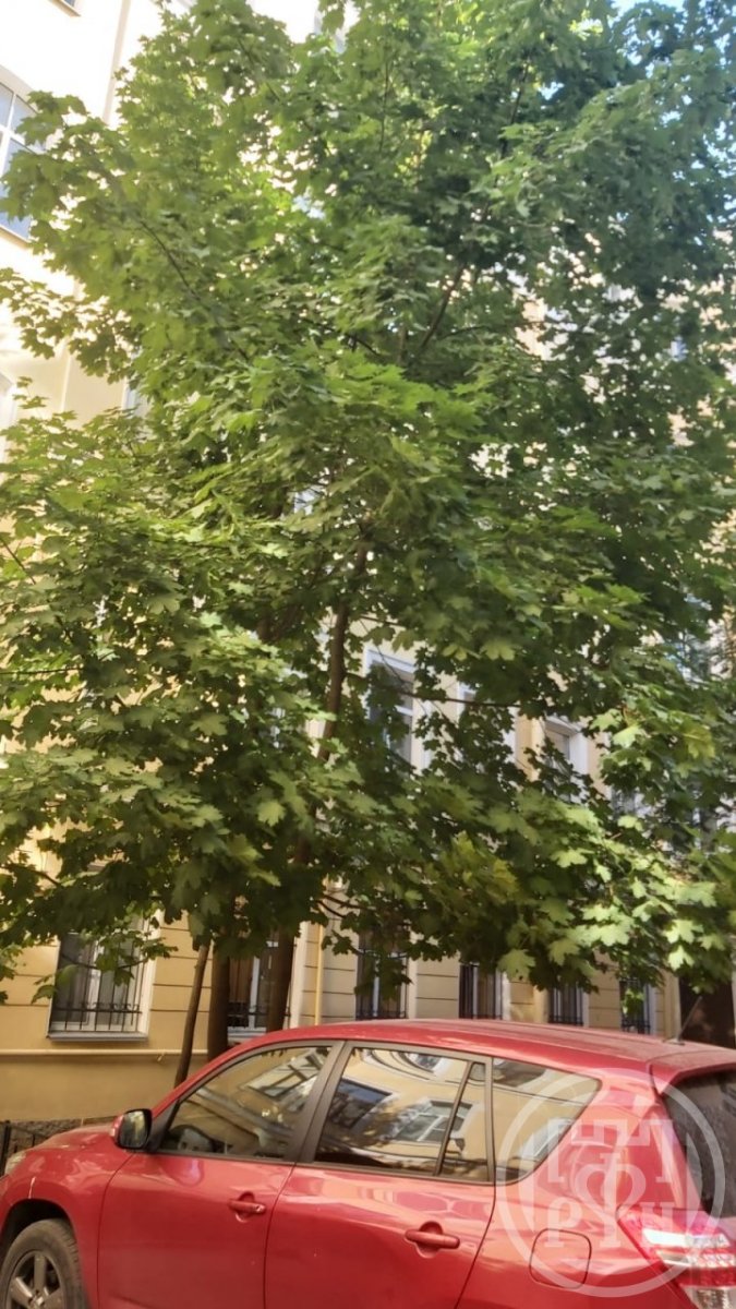Спасский пер., д 6-8 Спасский пер., д 6-8