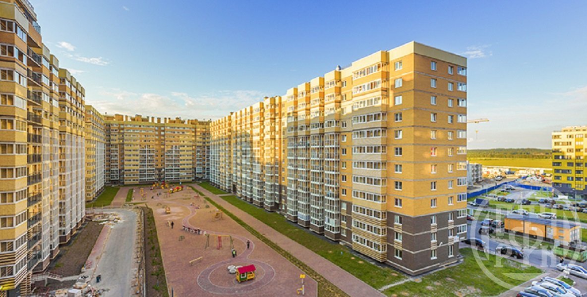 Голландская 10. Янино-1 Ленинградская область. Поселок Янино Ленинградская область. ГП Янино 1. Поселок Янино Питер.