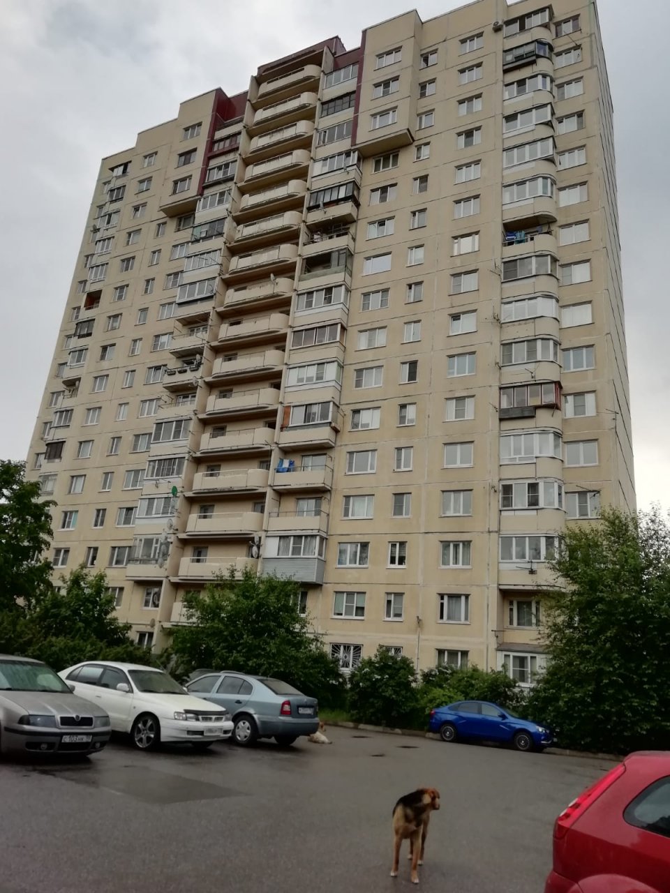 Продажа 1-комнатной квартиры, Санкт-Петербург, Граничная ул.,  д 21