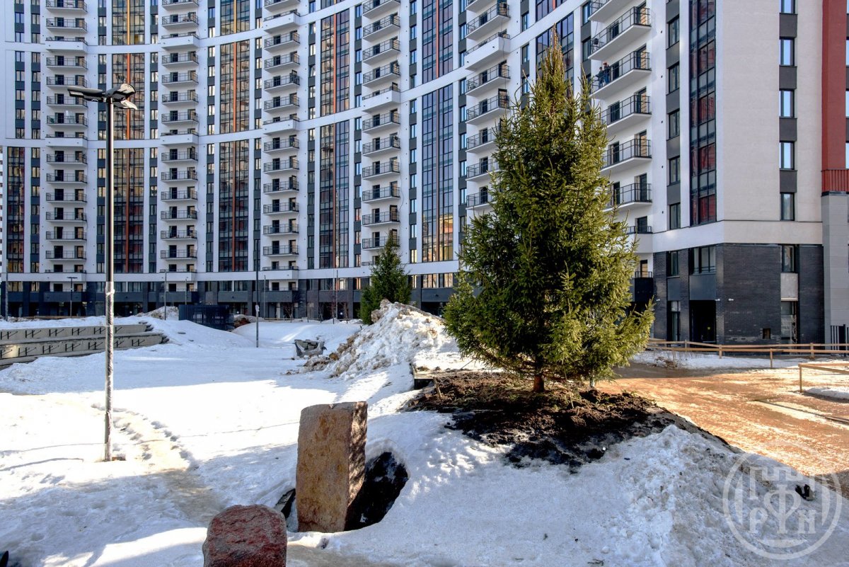 Комендантский просп., д 63 Комендантский просп., д 63