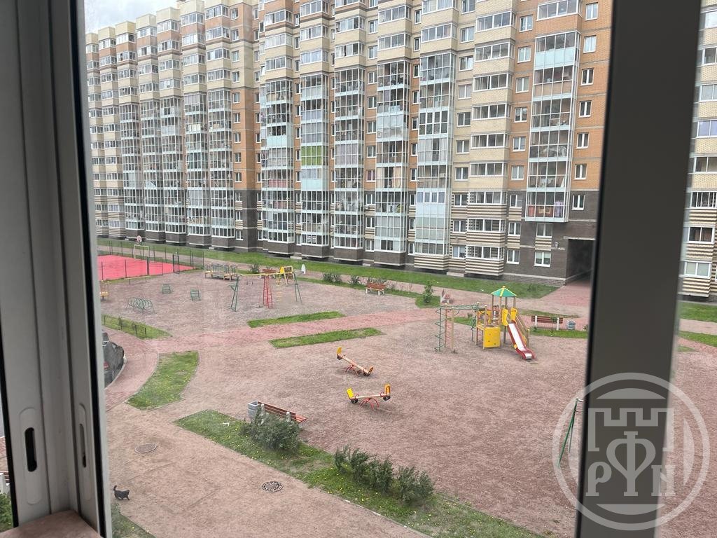 Голландская 10. Янино-1.