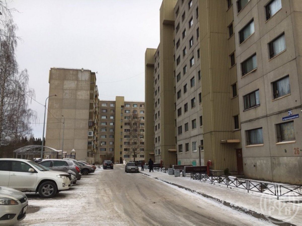 каталог Светогорск