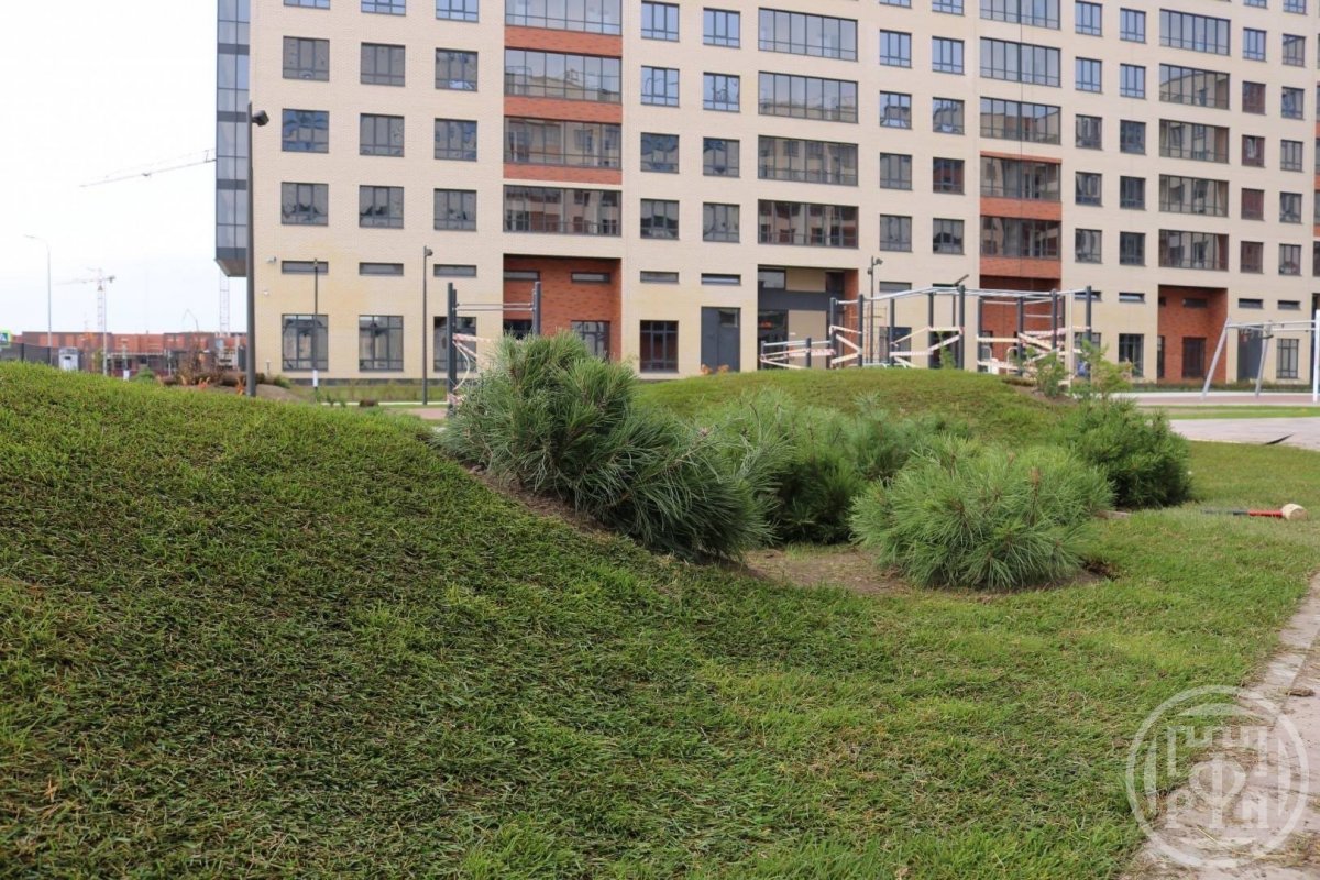 новоселье невская 9. новоселье невская 9. новоселье невская ул 9. ж. невская 6 новоселье жк newпитер.