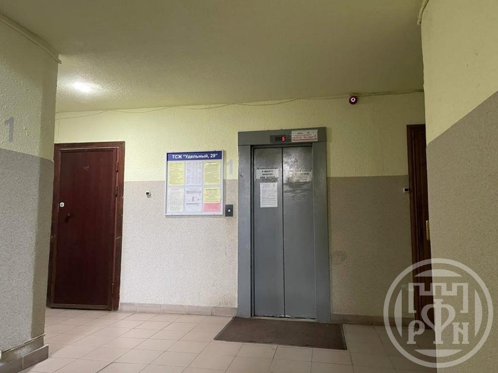 Удельный просп., д 29 Удельный просп., д 29