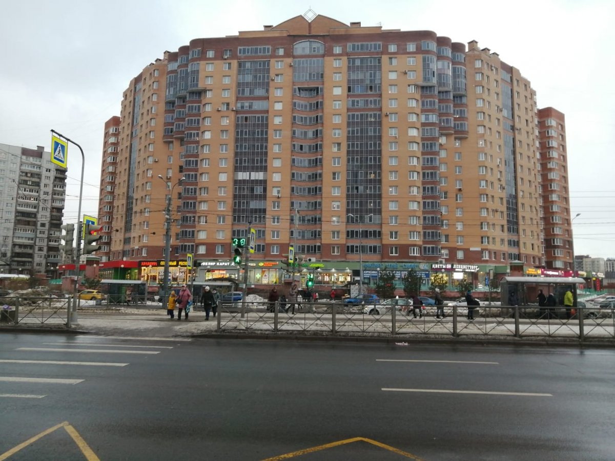 Бухарестская ул., д 118, корпус 4