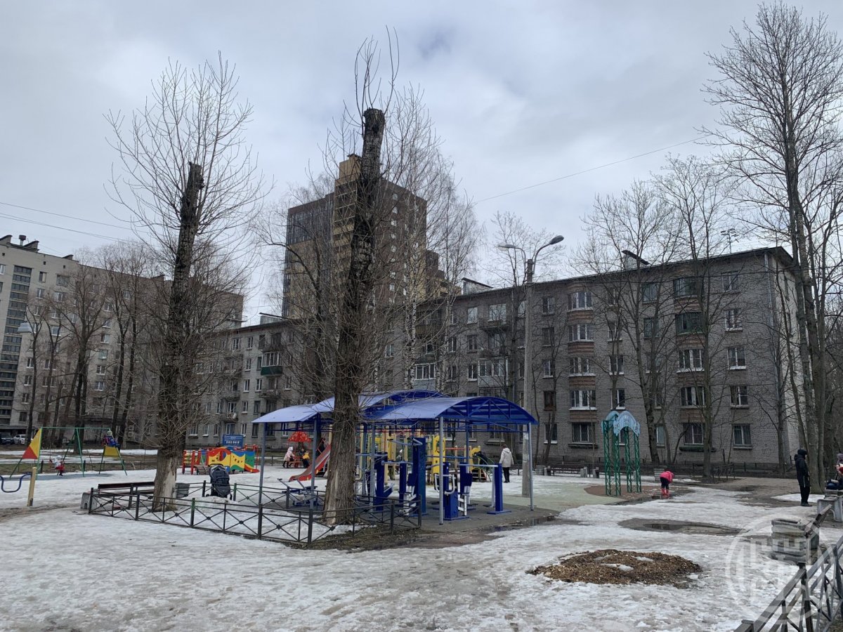 Дачный просп., д 19, корпус 3 Дачный просп., д 19, корпус 3