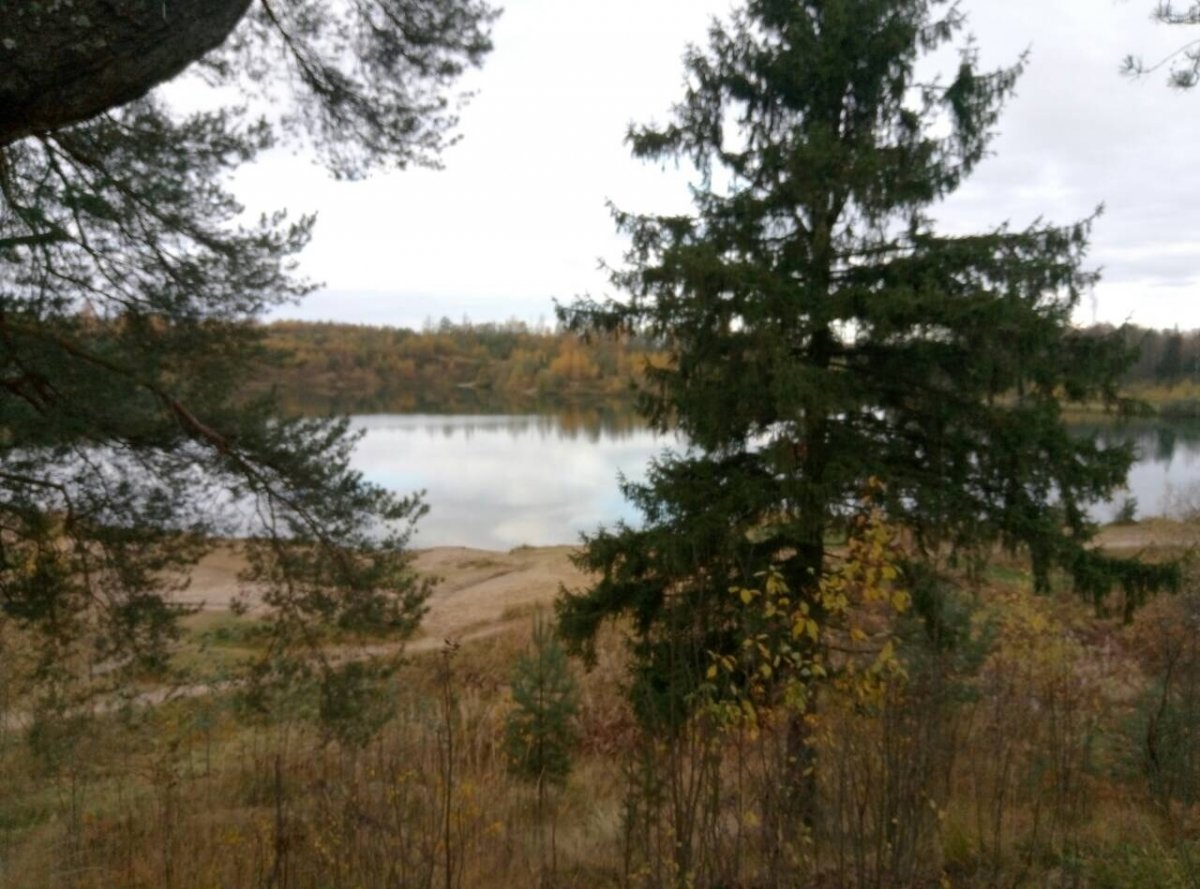 Поселок углова. Углово Ленинградская область. Углово 40.