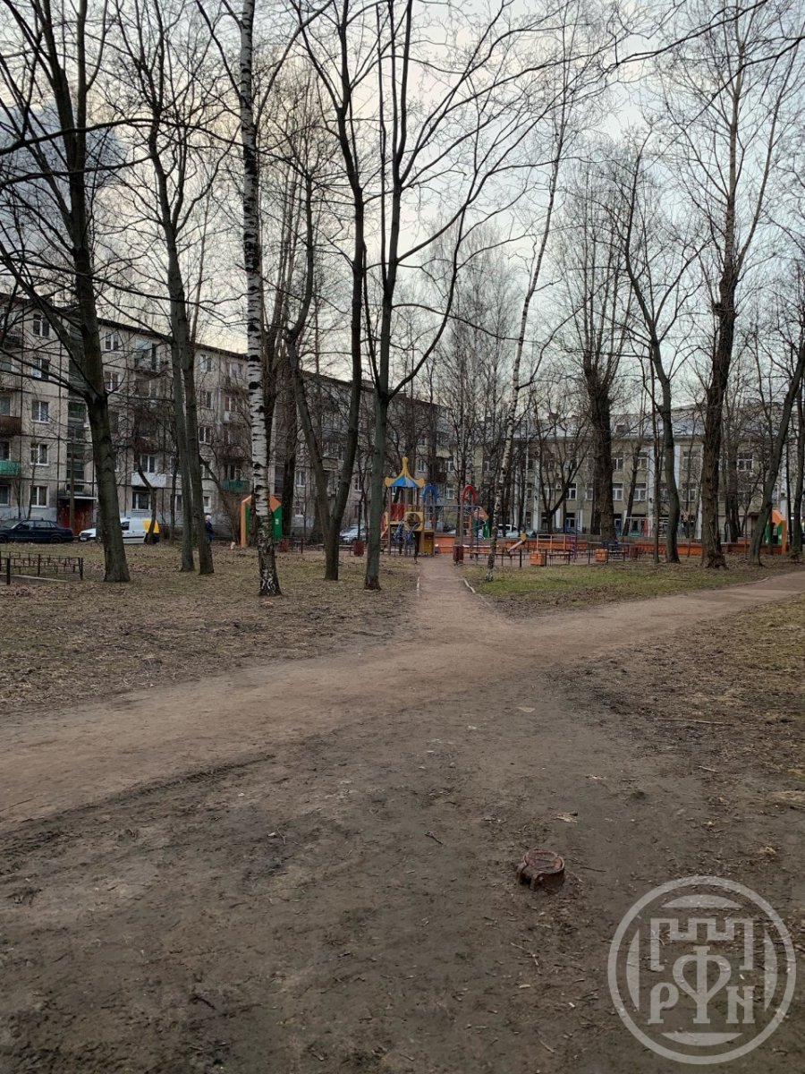 Заневский просп., д 59 Заневский просп., д 59
