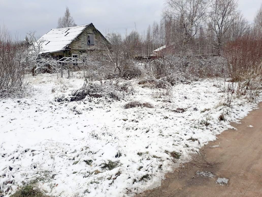 Погода красная долина выборгский