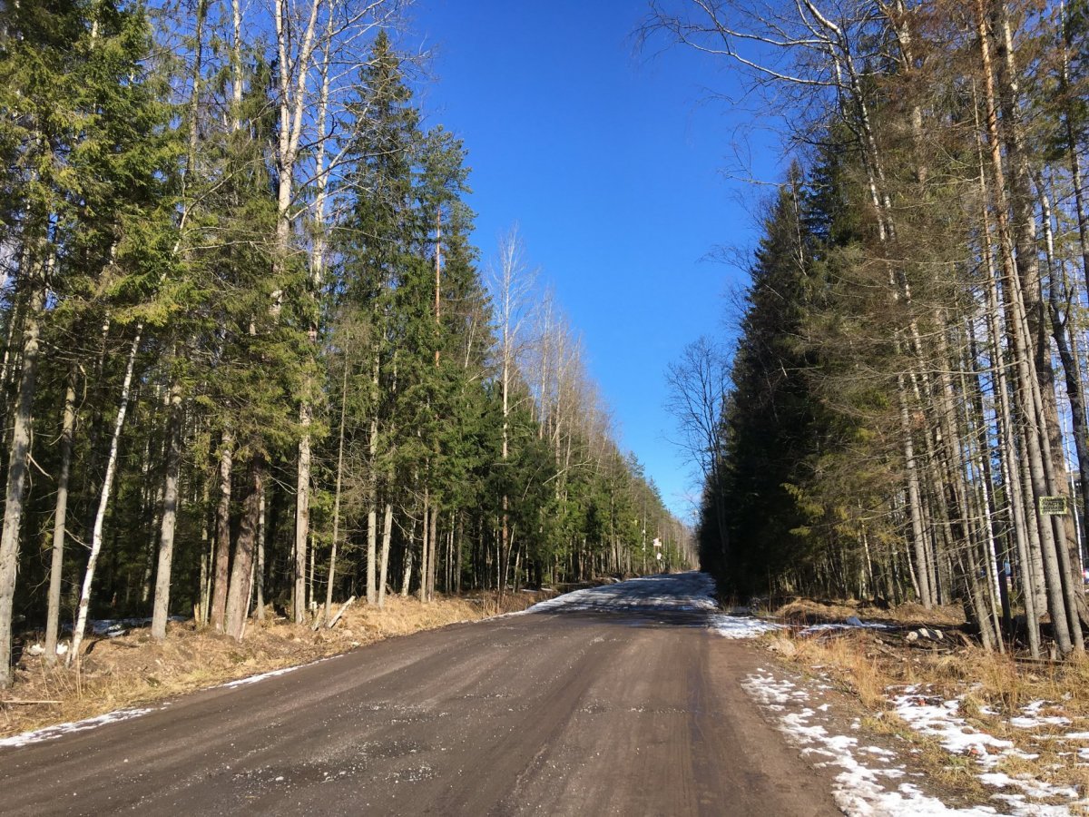 Купить Квартиру В Лесном Всеволожского Района